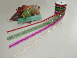 Fashion Style Gift Wrapping Ribbon (BZ-02)