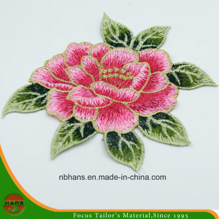 2017 New Design Embroidery Lace (HANS-CH14)