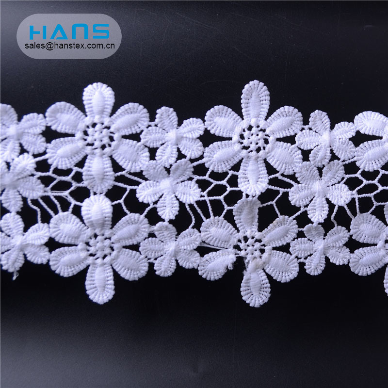 Hans Competitive Price Professional Design Leavers Lace